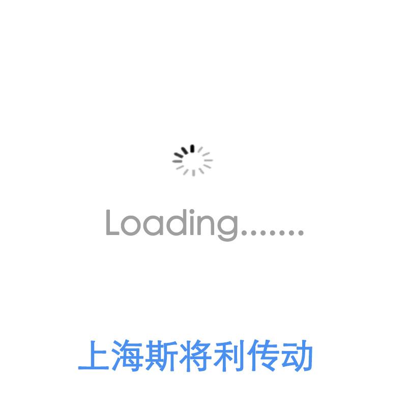 STEINMEYER施坦梅尔 2526/10.20.3,5.3E steinmeyer丝杠中国